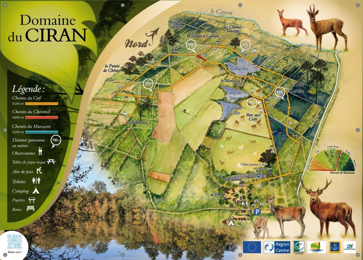 Le Cocoon D'Annabelle - Jolie Maison Avec Jeux Et Grand Jardin Pierrefitte-sur-Sauldre Екстериор снимка